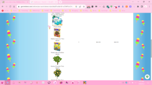 a screenshot showing the promotional items of webkinz's 1 year deluxe membership